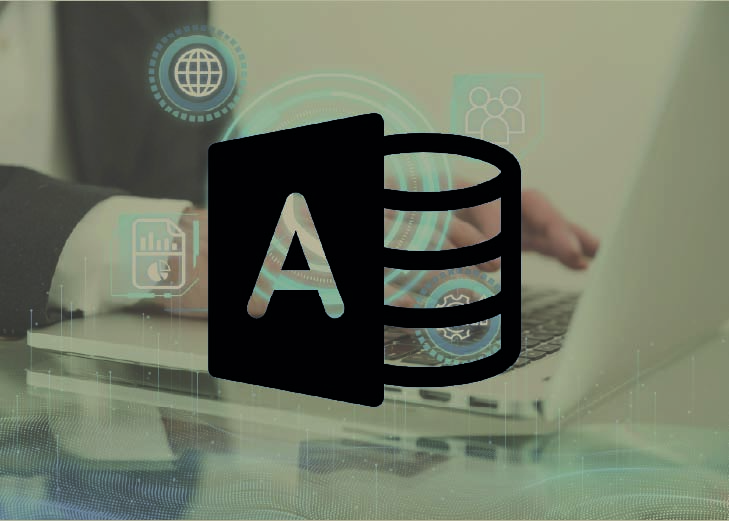 Apprendre Access 2016 - Programmer votre application avec VBA